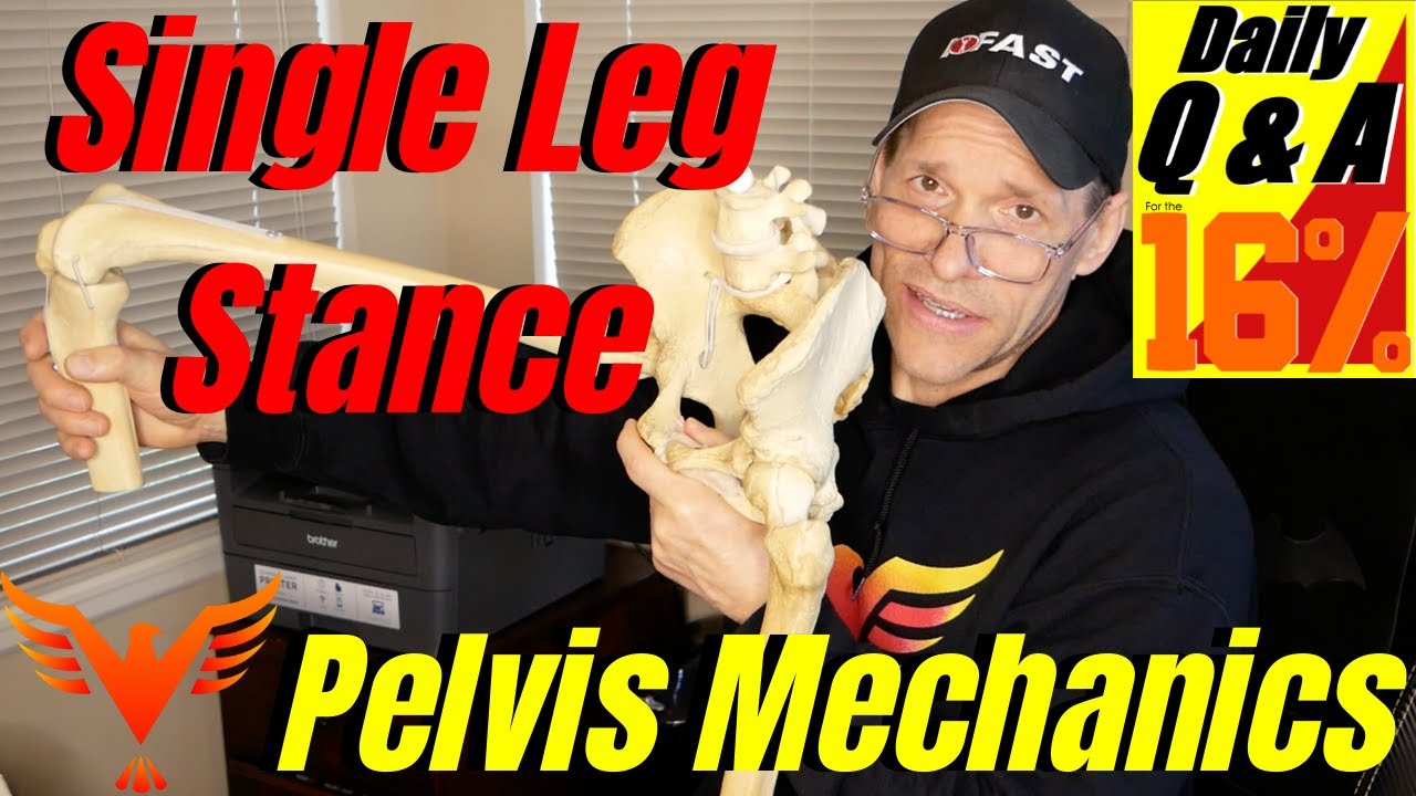 Q & A for The 16% - Single Leg Stance - Pelvis Mechanics - billhartmanpt.com