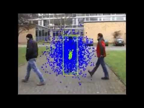 Video Tracking using Particle Filter with Online Gentle Adaboost