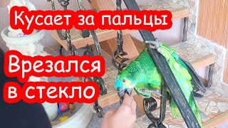 VLOG Мы выпустили Прошу