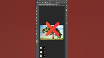 Powerful Techniques To CUT OUT Trees In Photoshop