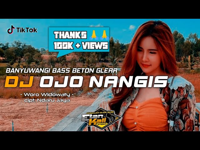 DJ OJO NANGIS ‼️ SLOW BASS HORE | Remix Terbaru TikTok Viral | Ndarboy Genk class=