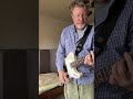Fender Telecaster The Utility Guitar