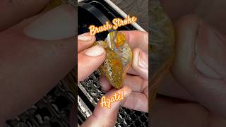 Check out this pebble with an identity crisis. A little bit of everything in this agate!