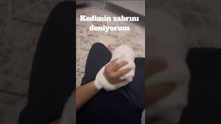 kedim bana saldırdı #viral #turkishcat #trend #cat #yavruhayvanlar #funny #cute #shortvideo #kedi