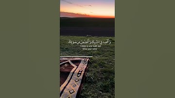 تلاوه ماتيسر من آيات سوره لقمان بصوت القارئ #ياسر_الدوسري #قران_كريم