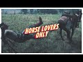 This is For RDR2 Horse Lovers ONLY