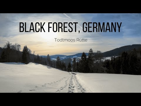 A short hike close to Todtmoos Rütte | Black Forest [Germany] | 4K