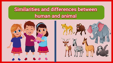 Similarities and differences between human and animal- Comparison of human and animal