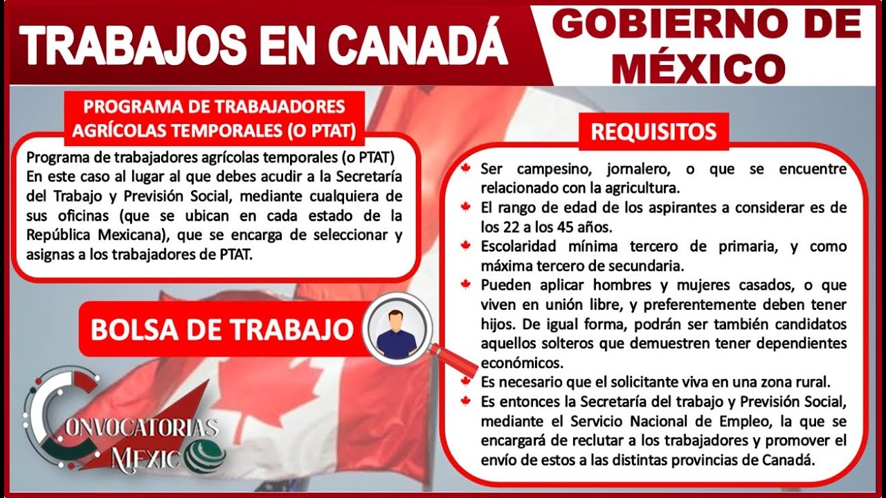 Trabajos en Canadá Gobierno de México 20222023 BOLSA de trabajo