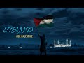 Stand for palestine nasheed lyrics  pure nasheed