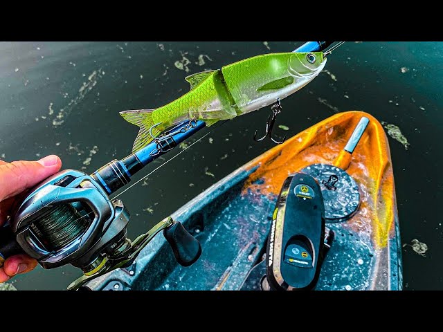 MOLIX GLIDE BAIT REVIEW!! (Kayak fishing) 