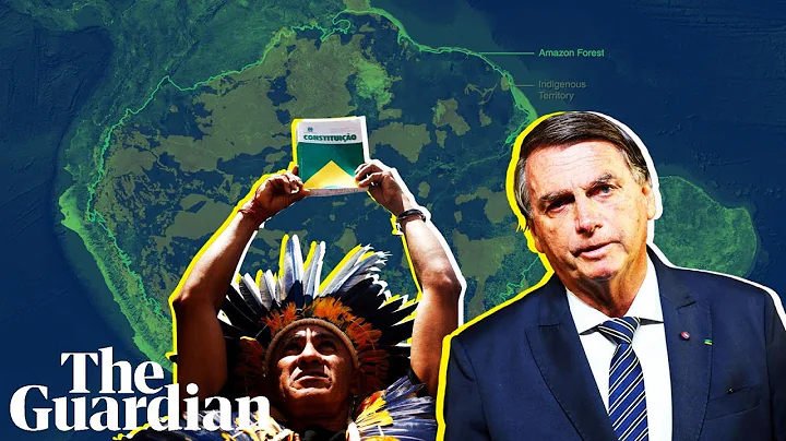 Bolsonaro's war on the Amazon: examining evidence of crimes against Indigenous people