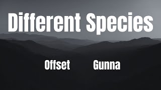 Different Species || OFFSET | Gunna || KARAOKE