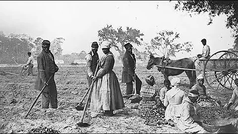 ¿Por qué huían los esclavos de las plantaciones?