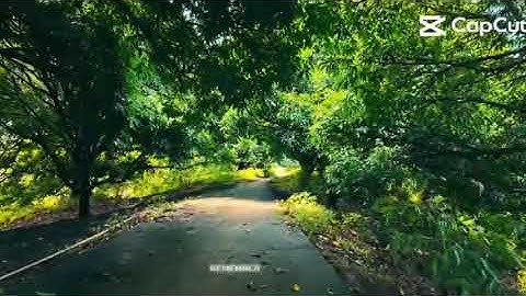 04b16899 4ced 44c3 bd0f fd937e0124ef