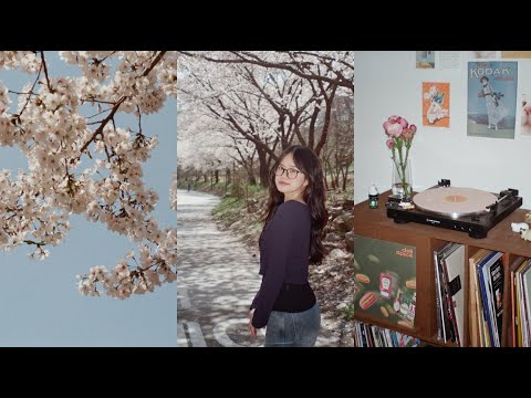 Korea diaries ₍ᐢ.