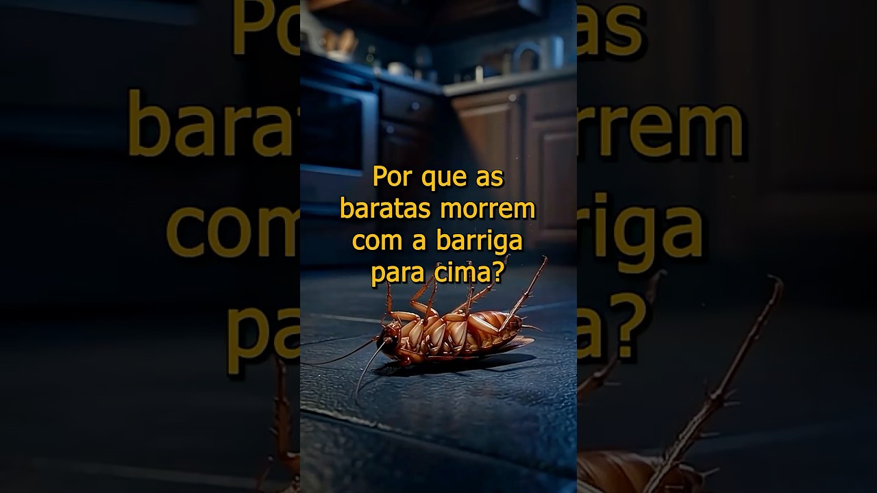 Por que as baratas morr3m de barriga pra cima? Não é coincidência.#curiosidade #barata #fatos