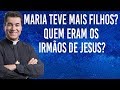 Maria teve mais filhos? Quem eram os irmãos de Jesus? - Pe. Chrystian Shankar