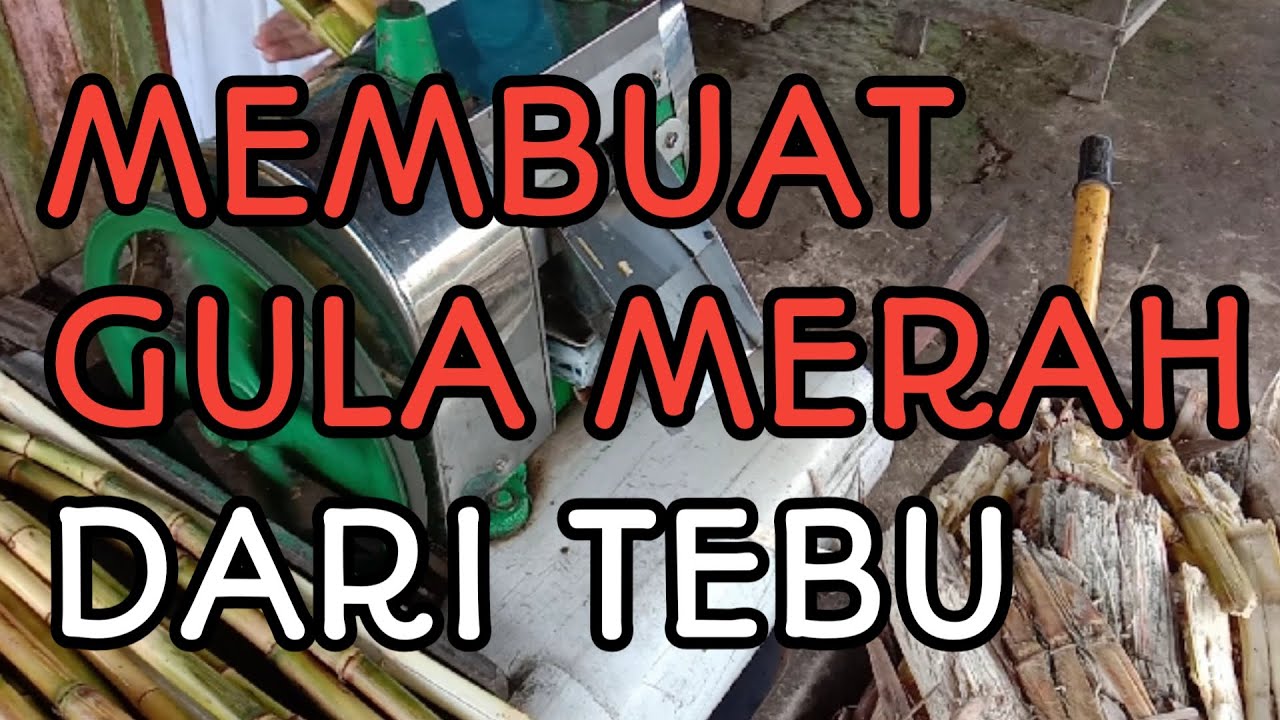 Membuat Gula Merah Dari Tebu 