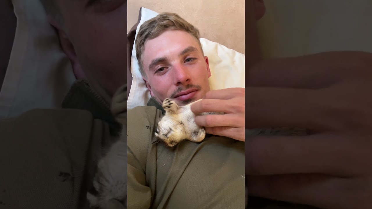 Rescue squirrel cuteness 🐿️🥰 #animalshorts