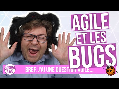 Vidéo: Comment suivre les bugs en agile ?