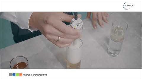 Capanivo® 7000 capacitive level switch accurately detects very light beer foam