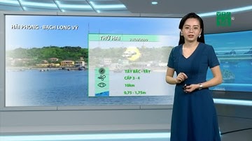 Thời tiết biển 31/08/2020: Thời tiết tốt trên hầu khắp các vùng biển| VTC14