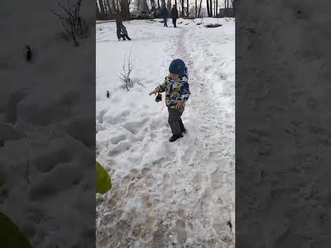 Дамба. Глазов. Апрель