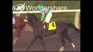 Zenyatta: Race 14, Breeders' Cup Classic 11/7/2009