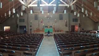 8:00am Mass from Holy Cross Catholic Church (July 2, 2026)