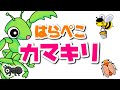 はらぺこカマキリ / おかあさんといっしょ (Coverd byちゃんねるできたくん) 【踊るカマキリ】