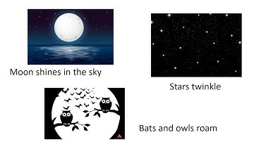 Grade 1   Mathematics  Changes in the Environment