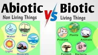 Abiotic vs Biotic || Difference between Abiotic and Biotic || Comparison between Abiotic and Biotic