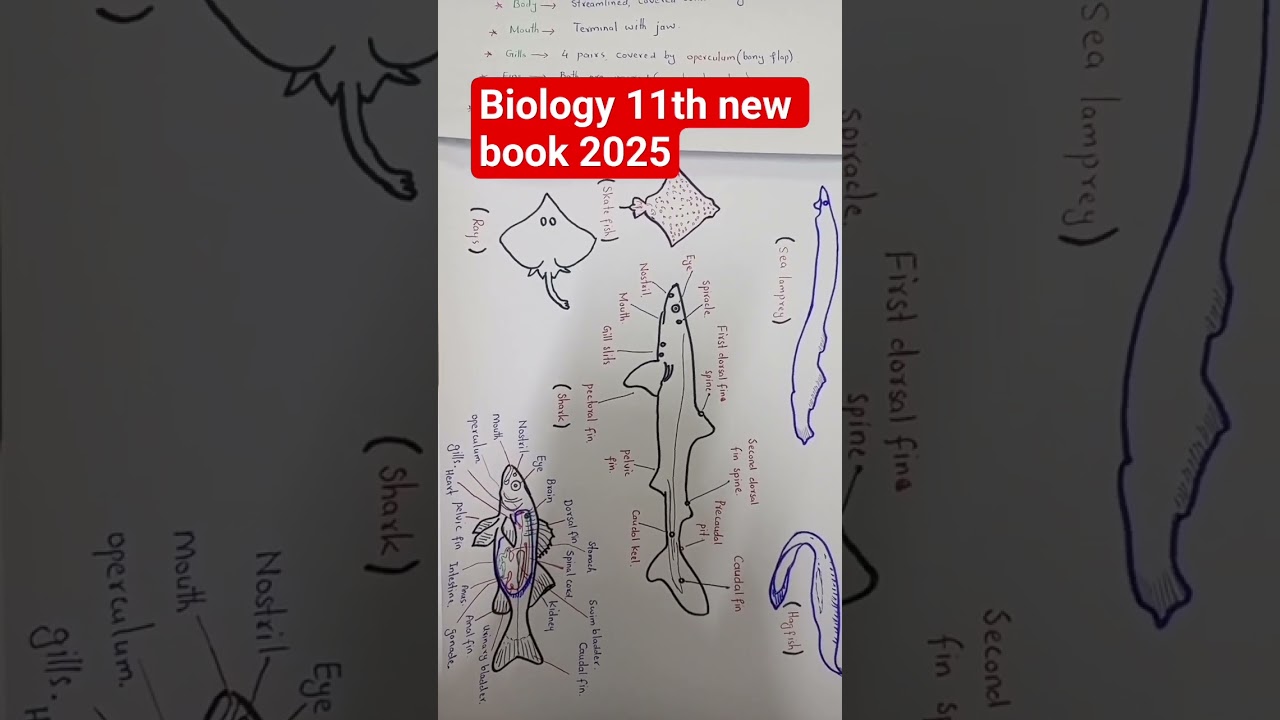 #newbook2025