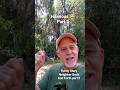 Funny Story about Going Back and Forth with the Neighbor part 2.