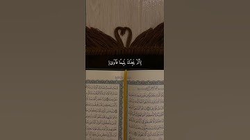 تلاوة تريح القلب للشيخ ماهر المعيقلي ( ولسوف يعطيك ربك فترضى )
