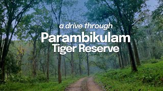 A morning drive through Parambikulam Tiger Reserve | Silent Relaxation Film | GoPro Hero 9