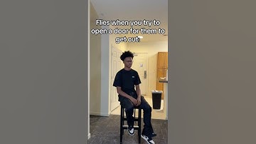 Flies when you try to open a door for them to get out🤨#comedy #fly  #shorts