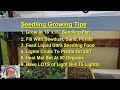 How To Grow Strong and Healthy Seedlings Every Time