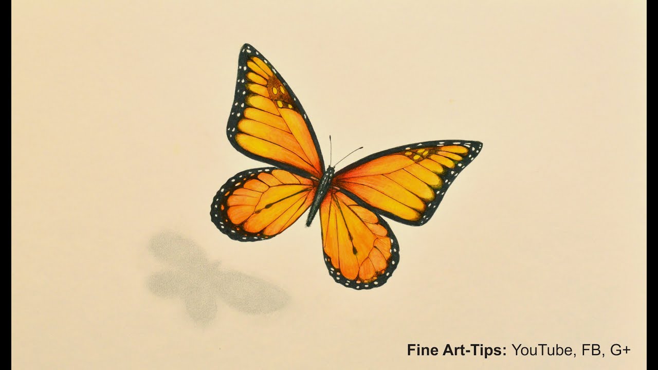 ⁣How to Draw a Monarch Butterfly With Markers and Color Pencils