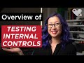 Overview of testing internal controls