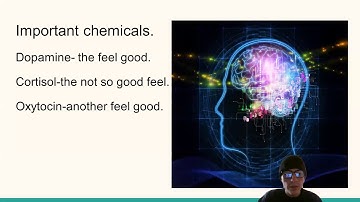 Slide Show Informative Speech | music and the brain