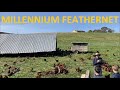 Polyface's Joel Salatin Talks Millennium Feathernet