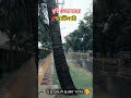 বৃষ্টি ভেজারের রাস্তার🥰🥰#viralvideo #foryoupageシforyou #youtubeshorts