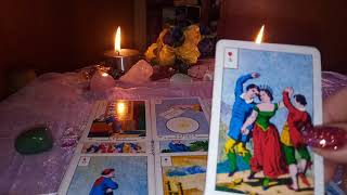 Surprizele Zilei Etalare Carti Oracol