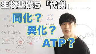 異化 Youtube