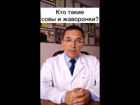 Совы и жаворонки - миф или реальность? #shorts