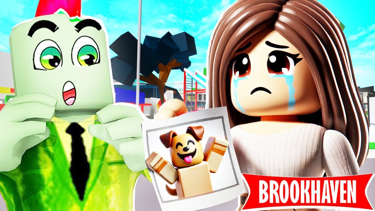Ze Was Haar Hond Kwijt, Dus Ik Ging Zoeken In Brookhaven RP!🏡