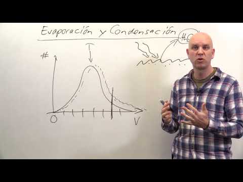 Vídeo: Diferencia Entre Evaporación Y Condensación