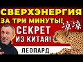 ОЧИЩЕНИЕ ЛЕГКИХ, КРОВИ И ЛИМФЫ! Cекреты китайской медицины - сверхэнергия за 3 минуты!